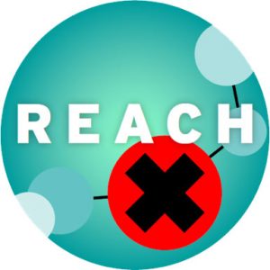 REACH_Konform_Logo